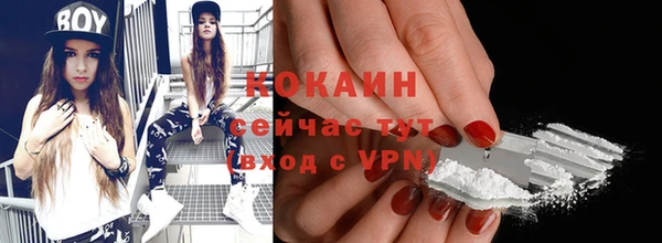 индика Балахна
