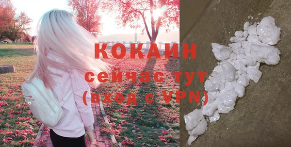 индика Балахна
