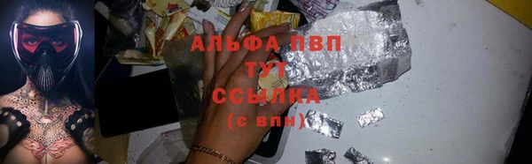 индика Балахна