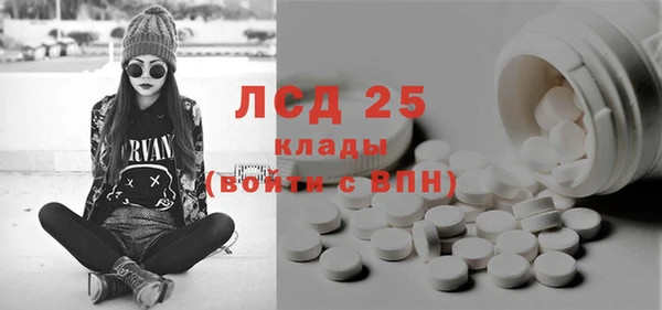 индика Балахна