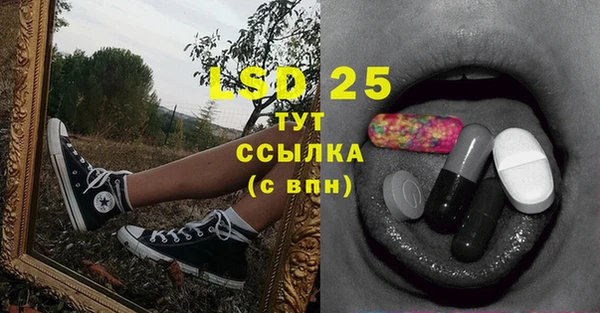 индика Балахна