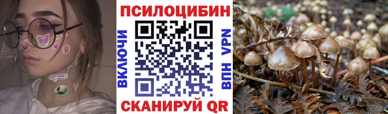 Галлюциногенные грибы GOLDEN TEACHER Стрежевой