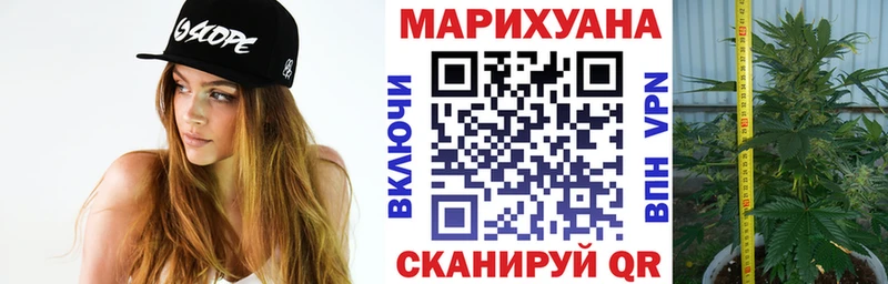 Бошки Шишки индика  ОМГ ОМГ как зайти  Стрежевой  даркнет сайт 